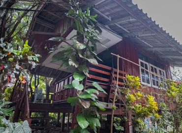 บ้านกล้วยไม้